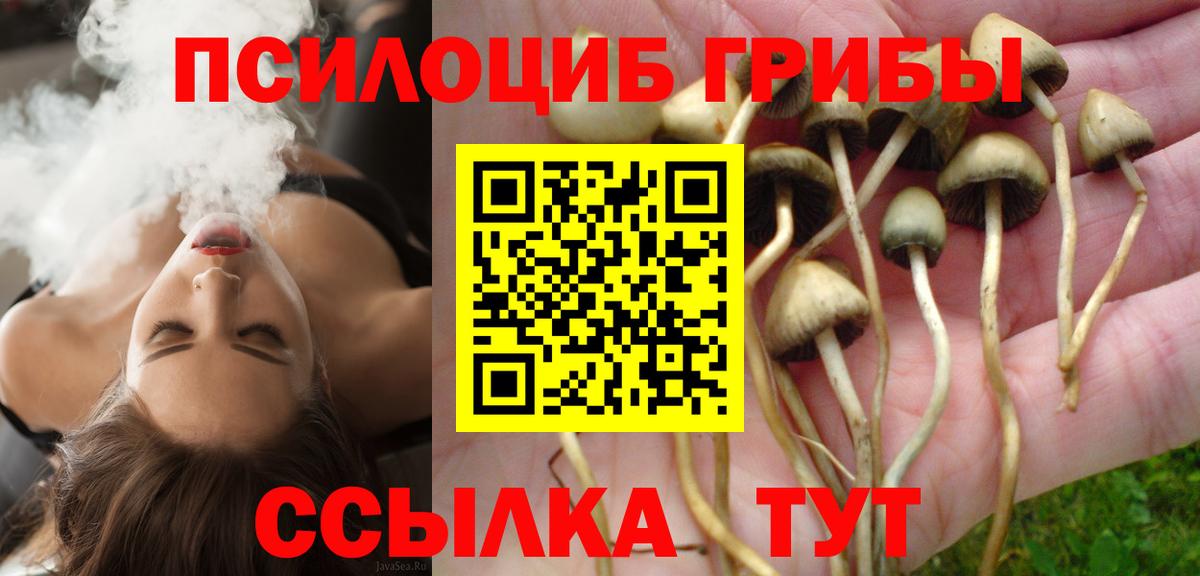 Псилоцибиновые грибы Magic Shrooms Майский